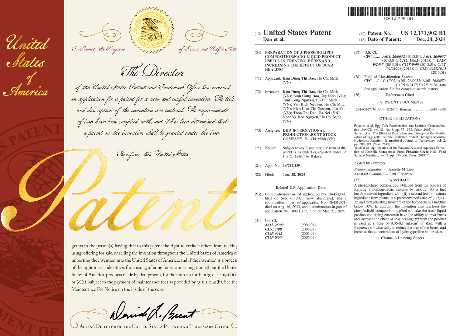 US Patent Document