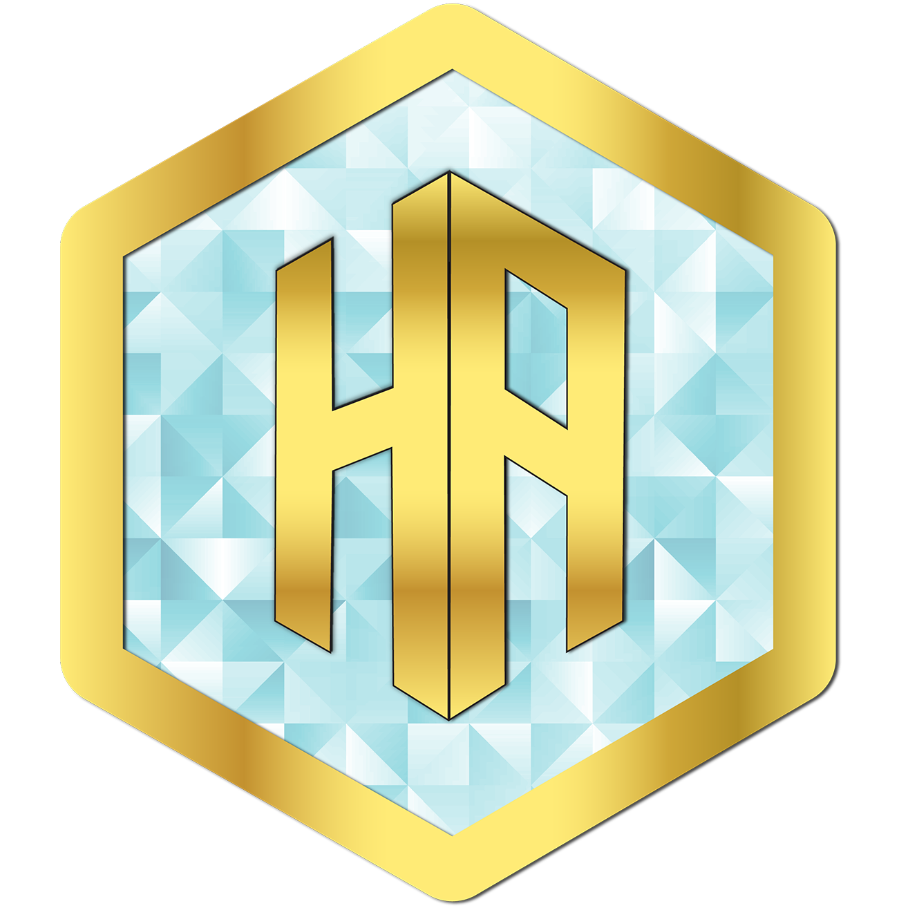 Hoang Anh Group