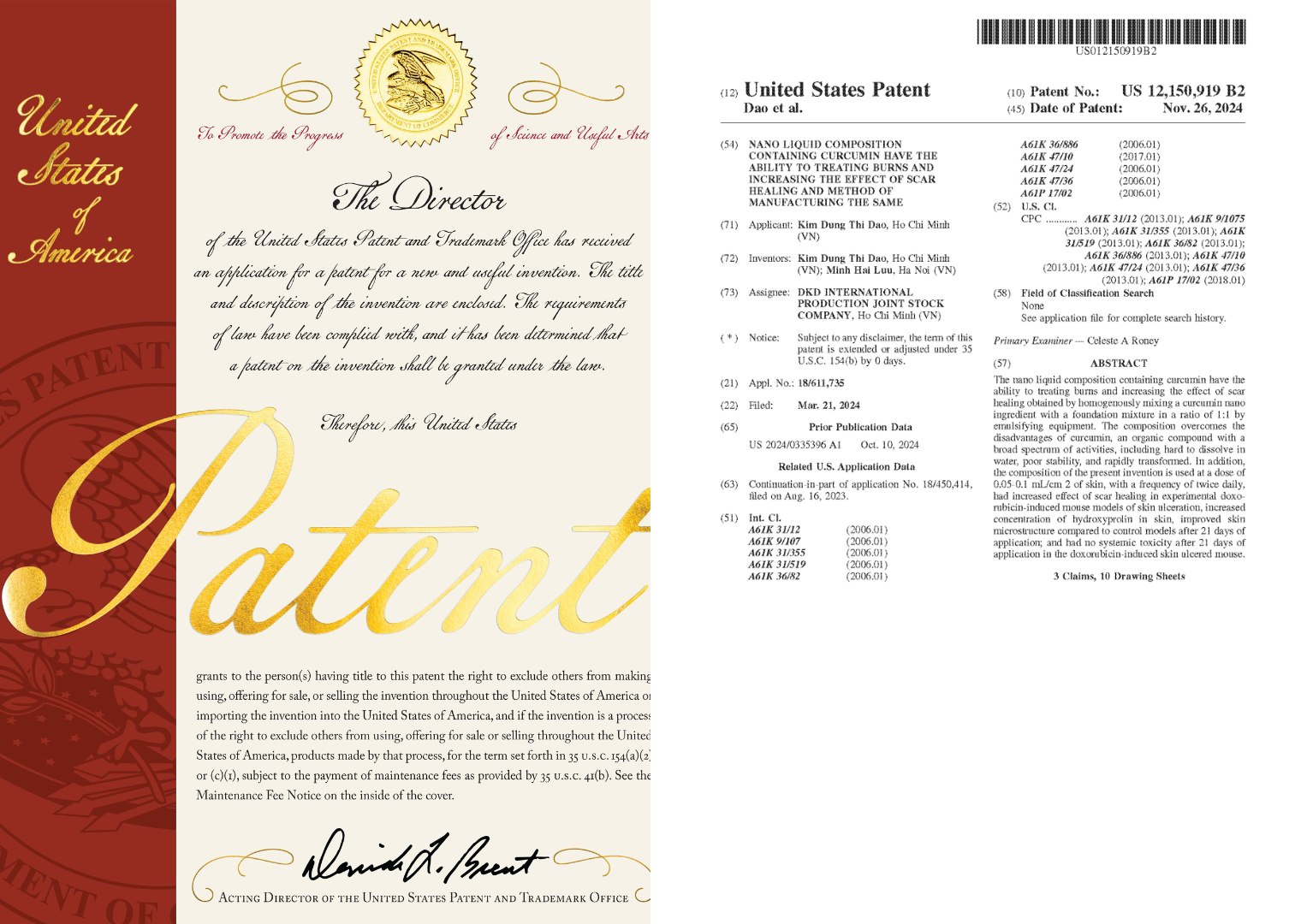 US Patent Document